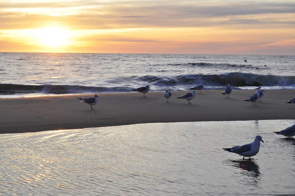 Crystal Beach Hotel Ocean City Ngoại thất bức ảnh
